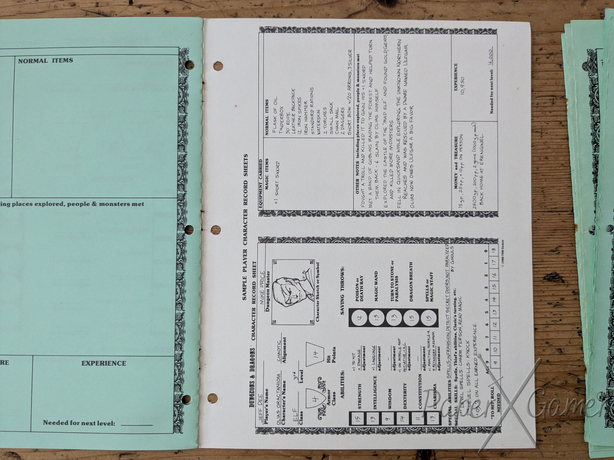 Player Character Record Sheets - Accessory - Image 10